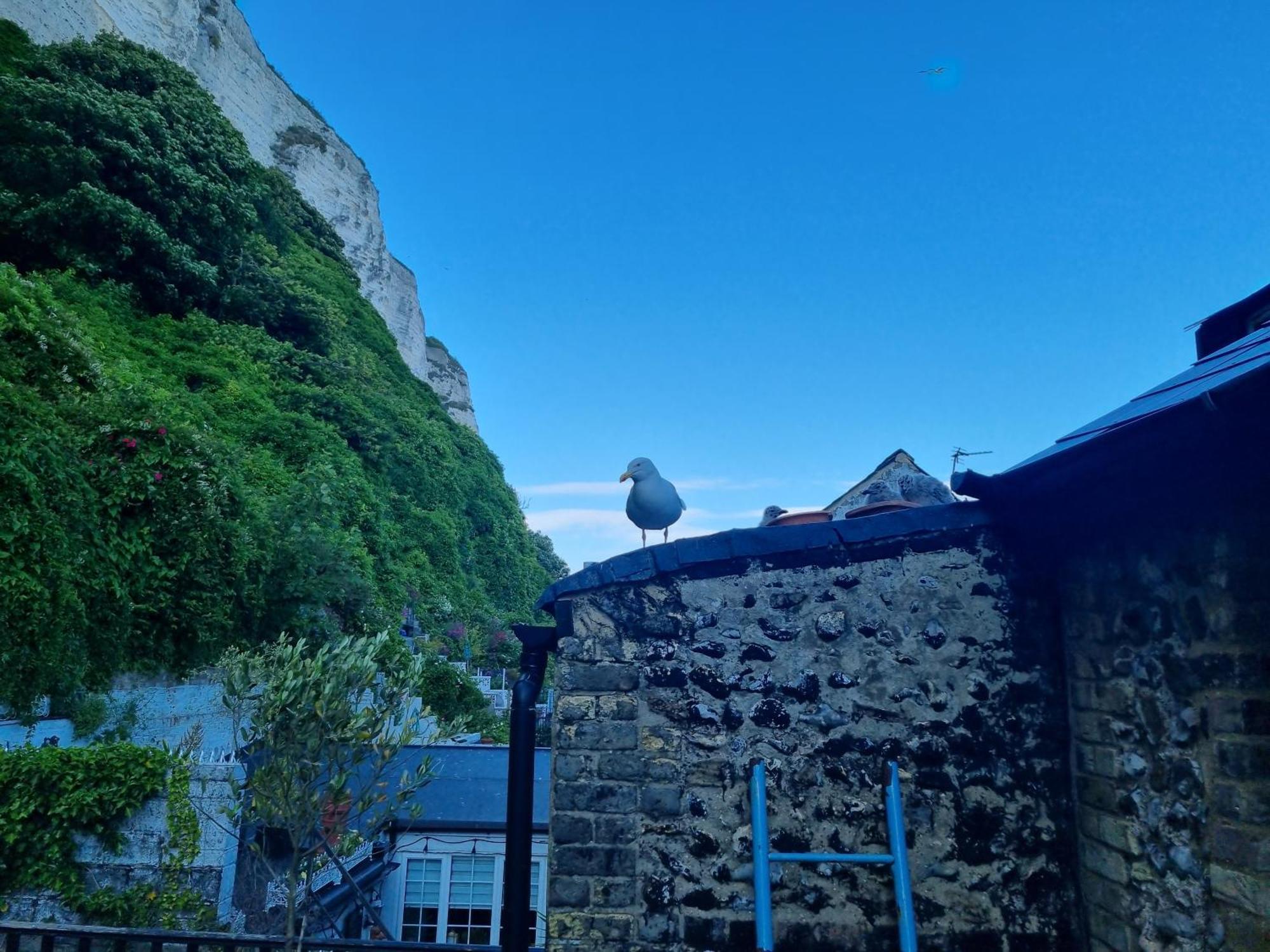 First And Last Youth Hostel Dover Eksteriør bilde